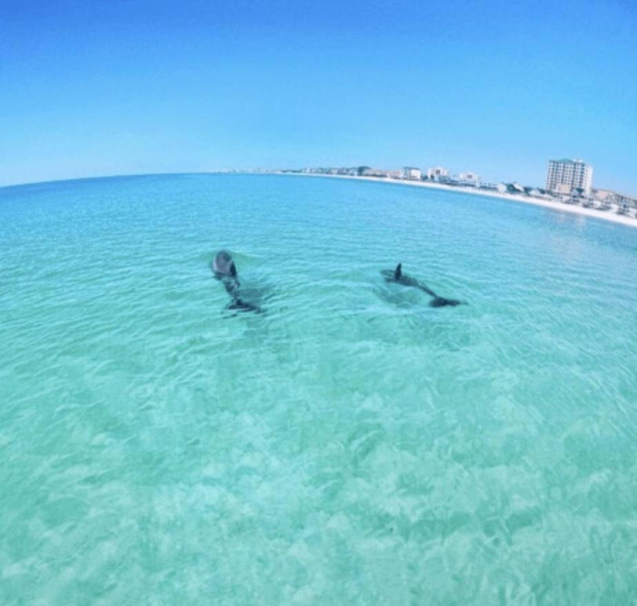 Slt #2043 - Stunning View! Free Beach Service! دستين المظهر الخارجي الصورة
